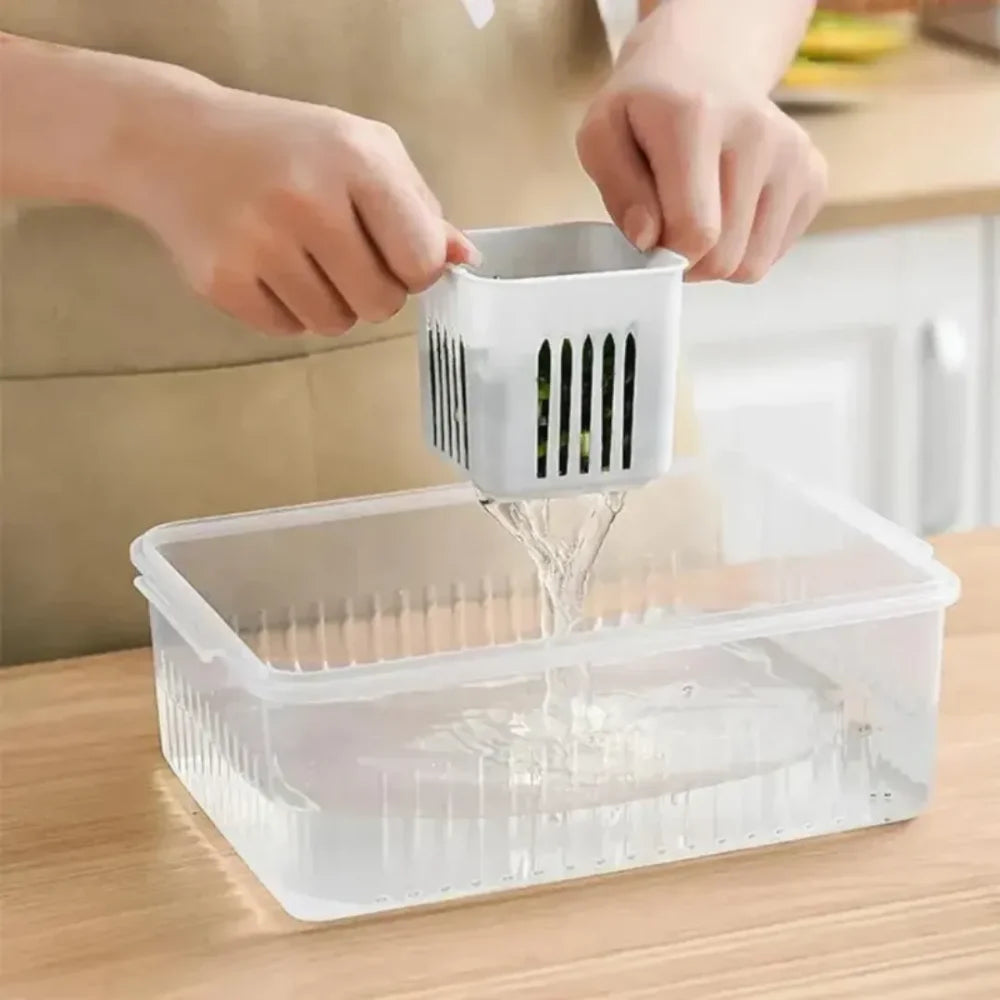 Refrigerator Organizer with Dividers - Primus