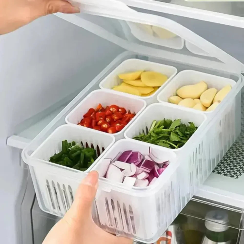 Refrigerator Organizer with Dividers - Primus