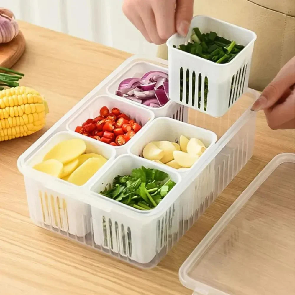 Refrigerator Organizer with Dividers - Primus
