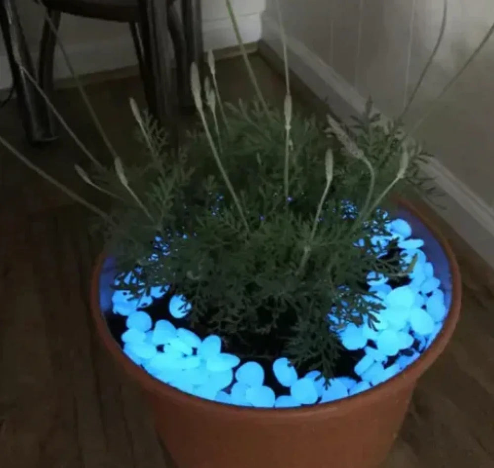 Magic Stones for Garden - Tazzi
